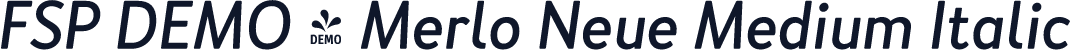 FSP DEMO - Merlo Neue Medium Italic