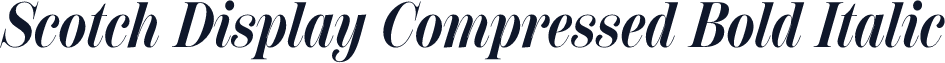 Scotch Display Compressed Bold Italic