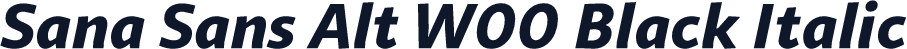Sana Sans Alt W00 Black Italic