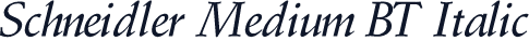 Schneidler Medium BT Italic