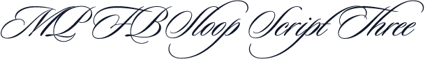 MP FBSloop Script Three