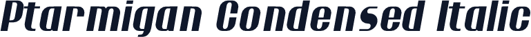 Ptarmigan Condensed Italic