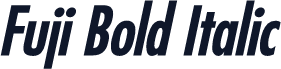 Fuji Bold Italic