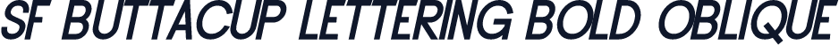 SF Buttacup Lettering Bold Oblique