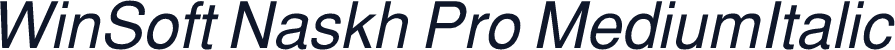 WinSoft Naskh Pro MediumItalic