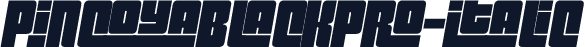 ☞PincoyaBlackPro-Italic