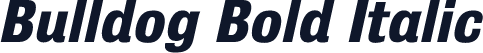 Bulldog Bold Italic