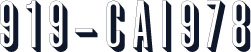 919-CAI978