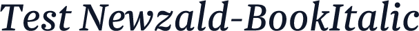 Test Newzald-BookItalic