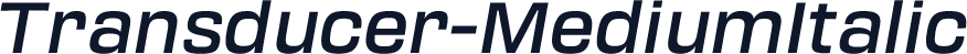 Transducer-MediumItalic