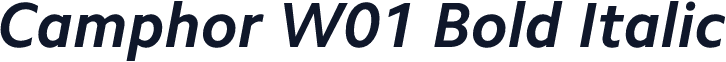 Camphor W01 Bold Italic