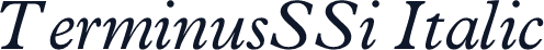 TerminusSSi Italic