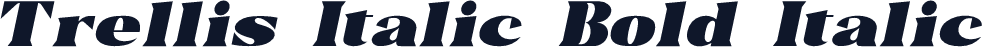 Trellis Italic Bold Italic