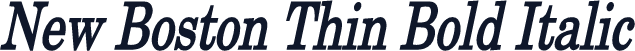 New Boston Thin Bold Italic