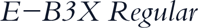 E-B3X Regular