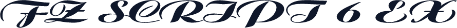 FZ SCRIPT 6 EX