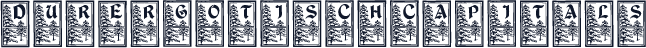 DurerGotischCapitals