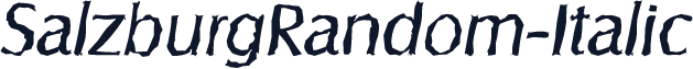 SalzburgRandom-Italic