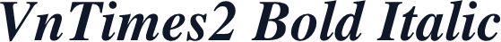 VnTimes2 Bold Italic