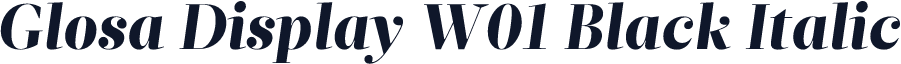 Glosa Display W01 Black Italic