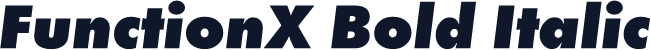 FunctionX Bold Italic