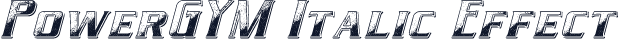 PowerGYM Italic Effect
