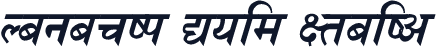 Nagarik Bold Italic