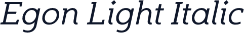 Egon Light Italic