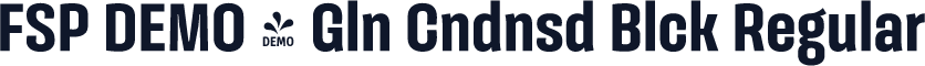 FSP DEMO - Gln Cndnsd Blck Regular