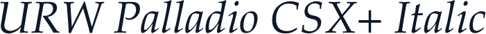 URW Palladio CSX+ Italic