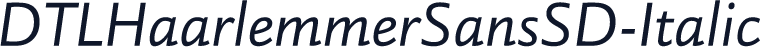 DTLHaarlemmerSansSD-Italic