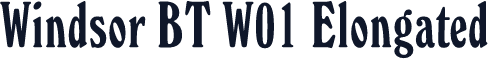 Windsor BT W01 Elongated