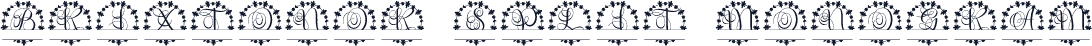 Brixtonor Split Monogram