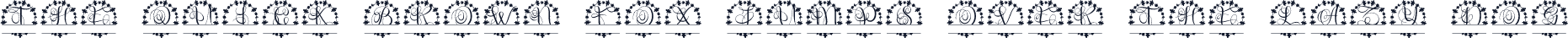 Brixtonor Split Monogram