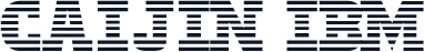CAIJIN IBM