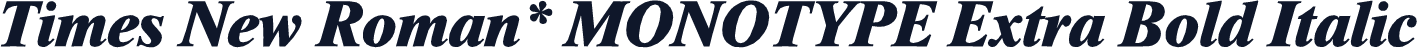 Times New Roman* MONOTYPE Extra Bold Italic