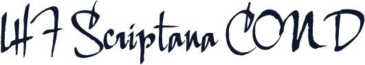 LHF Scriptana COND