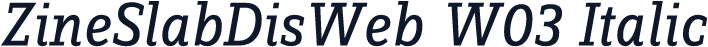 ZineSlabDisWeb W03 Italic
