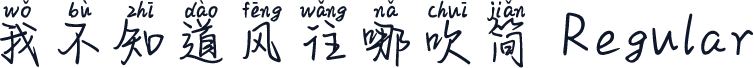 我不知道风往哪吹简 Regular