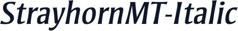 StrayhornMT-Italic