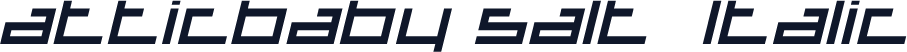 atticbaby salt  Italic