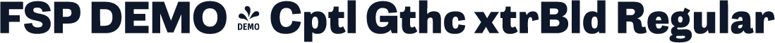FSP DEMO - Cptl Gthc xtrBld Regular