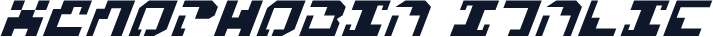 Xenophobia Italic