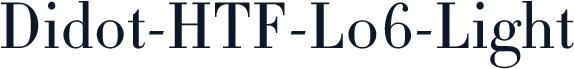 Didot-HTF-L06-Light