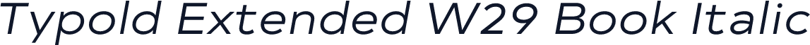 Typold Extended W29 Book Italic
