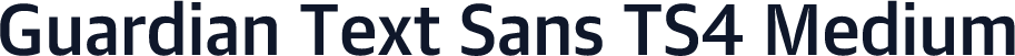 Guardian Text Sans TS4 Medium