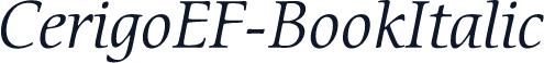 CerigoEF-BookItalic