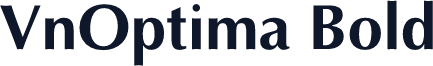 VnOptima Bold