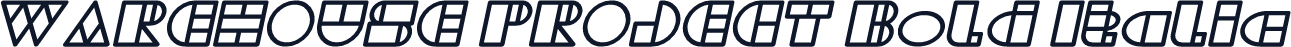 WAREHOUSE PROJECT Bold Italic