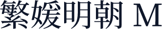 繁媛明朝 M